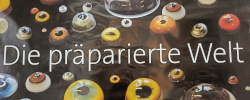 Präparierte Welt