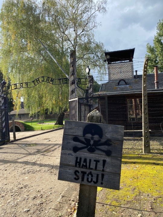 Auschwitz
